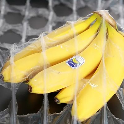식품 및 식물 포장 LDPE 스트레치 필름 500mm X 1420m 250% 연장 및 내구성 물질